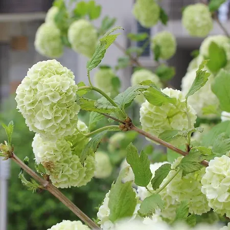 The Chill House In Sunny Apartamento *